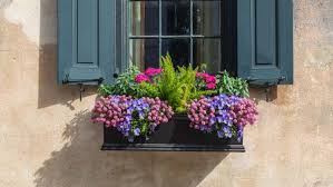 How To Plant A Window Box Garden And