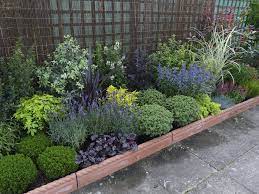 garden border plants