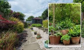 Create A Low Maintenance Garden That