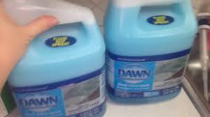 dawn and vinegar cleaning solution