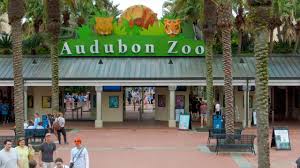 zoobilation celebrates audubon zoo members