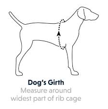 ruffwear dog harness size guide pet