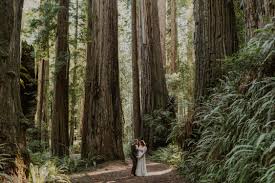 to elope in redwood national park