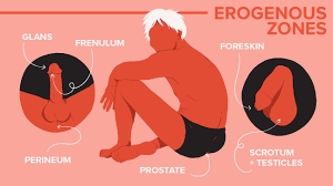 31 Erogenous Zones How To Touch Them A Chart For Men Women