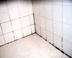 remove mold and mildew from tile grout