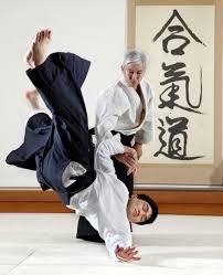 Our student body is both ethnically and professionally diverse. About Aikido Mumei Shudan