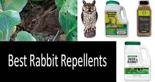 best rabbit repellents and deters