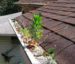 Why Gutter Guards And Screens Fail