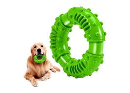 top outdoor dog toys in 2023 review