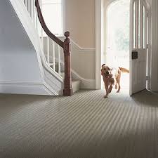 10 best hallway carpets hallway ideas