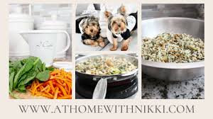 homemade dog food for chihuahuas guide
