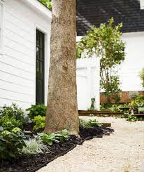 Low Water Landscaping Ideas For A