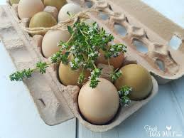 Here you may to know how to sell my eggs. 7 Tips To Help You Sell Your Farm Fresh Eggs For More Money Fresh Eggs Daily