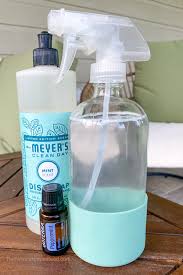 peppermint oil spray bug repellent for