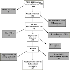 Diagram Of The Detailed Chart Exclusion Process Tbi