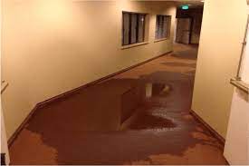 water damage carpet police