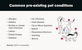Best Pet Insurance With Pre Existing Conditions gambar png