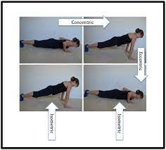 types of muscle contractions