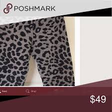 Sundry Leopard Flare Pants Nwt Size 1 Sundry Flare