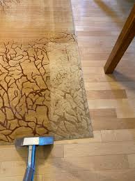 carpet and rug cleaning in kona kohala