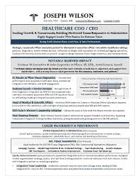 Like ceos, vice presidents tend to have a lot of experience to show off on their cv. Healthcare Coo Ceo Resume Premium Executive Resume Writing Services