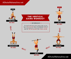 the vertical gains workout a shot of