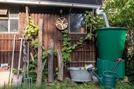Rainwater Harvesting At Home For