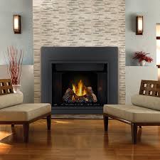 Gas Fireplaces Stoves Inserts