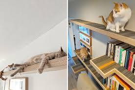 Please take a look at some of our reviews, tips, and cat climbing articles! Cat Library Custom Cat Climbing Shelves Great Catification Inspiration