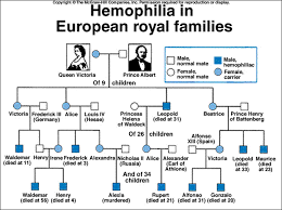 Haemophilia Pedigree Chart Royal Family Bedowntowndaytona Com
