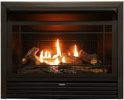 dual fuel ventless gas fireplace insert