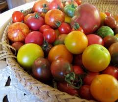 Flavor Descriptions Of Heirloom Tomato Pepper Varieties