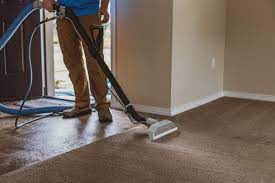 Expert Carpet Cleaning Services for Homeowners