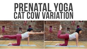 A wonderful way to start off any yoga practice is with a round cat pose to cow pose. Pregnancy Workout Cat Cow Variations For Back Prenatal Yoga Youtube