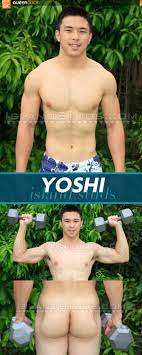 Island Studs: Yoshi - QueerClick