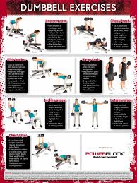 exercise poster 3 pack powerblock