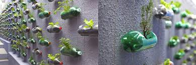 Mini Indoor Garden Ideas To Green Your