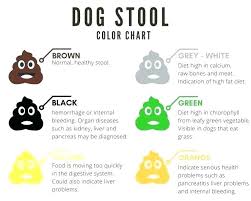 Stool Color Chart For Adults Clip Arts Home Improvement