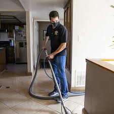 carpet cleaning near valencia