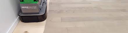professional hardwood floor sander rasp