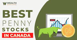 6 best penny stocks in canada with high