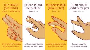 cervical mucus chart know when you re