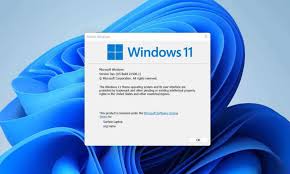 After the release of windows 10, microsoft officially stated that it would be the last version of windows. Rpl8olhov8lvim
