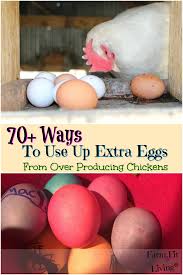 What do you guys like to maje that takes a lot of eggs? 70 Ways To Use Up Extra Eggs From Over Producing Chickens