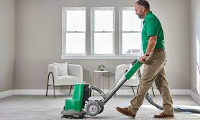 professional carpet cleaning in mt