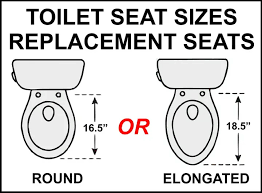 Toilet Seat Sizes And Replacement