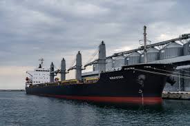 Zelenskyy observes ships loaded with Ukrainian grain exports | Honolulu  Star-Advertiser