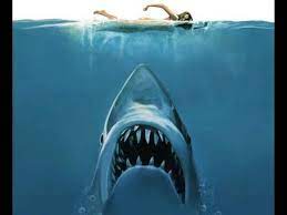 Bruce, le requin des « Dents de la mer » bientôt au musée des Oscars -  Radio Nova