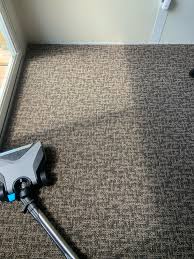 6 best carpet cleaning services