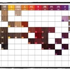 37 Qualified Paul Mitchell The Color Conversion Chart